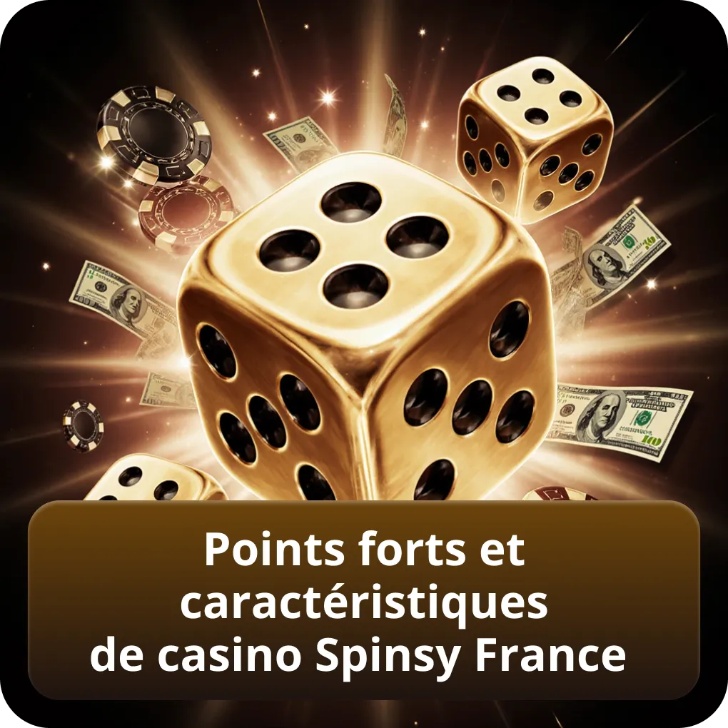 Points forts et caractéristiques de Casino Spinsy France